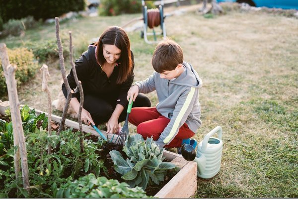 Repenser l'aménagement urbain : Comment maximiser l'utilisation des petites surfaces pour des espaces verts fonctionnels