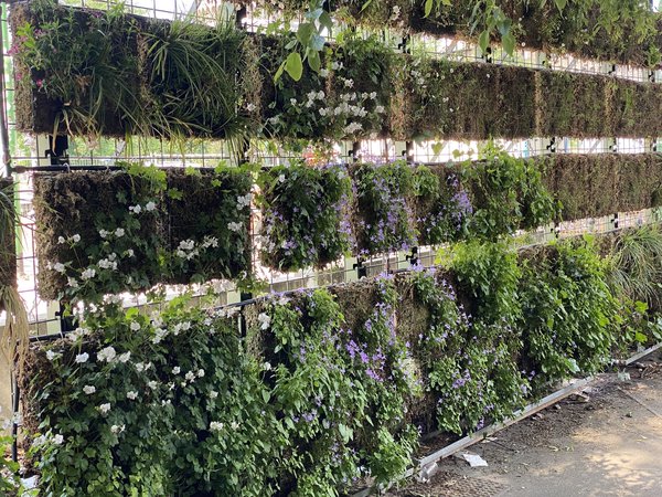 Astuces pour créer un mur végétal pour votre jardin