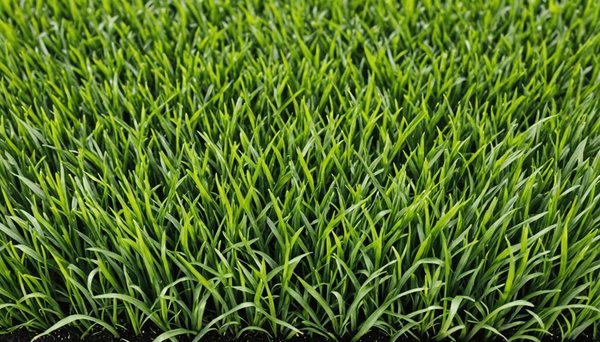 Gazon synthétique : explorez les types et avantages pour votre jardin